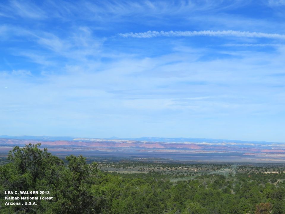Photo of US Route 89 - The Ultimate Road Trip 2/21 by Lea Walker