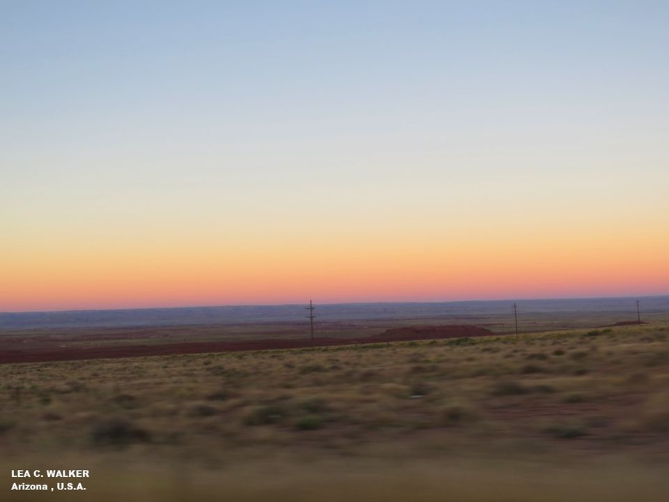 Photo of US Route 89 - The Ultimate Road Trip 3/21 by Lea Walker