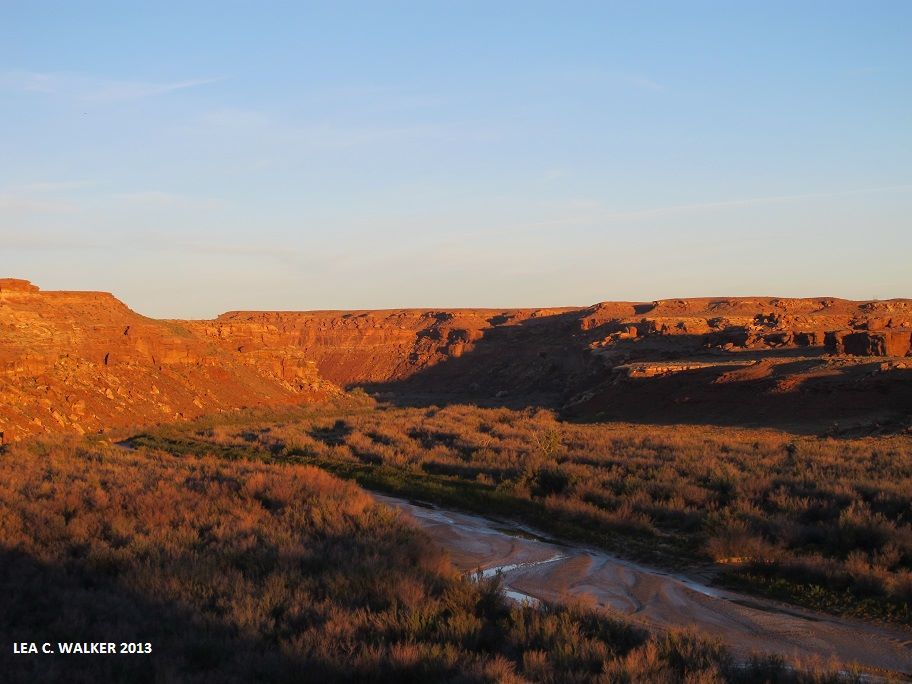Photo of US Route 89 - The Ultimate Road Trip 14/21 by Lea Walker