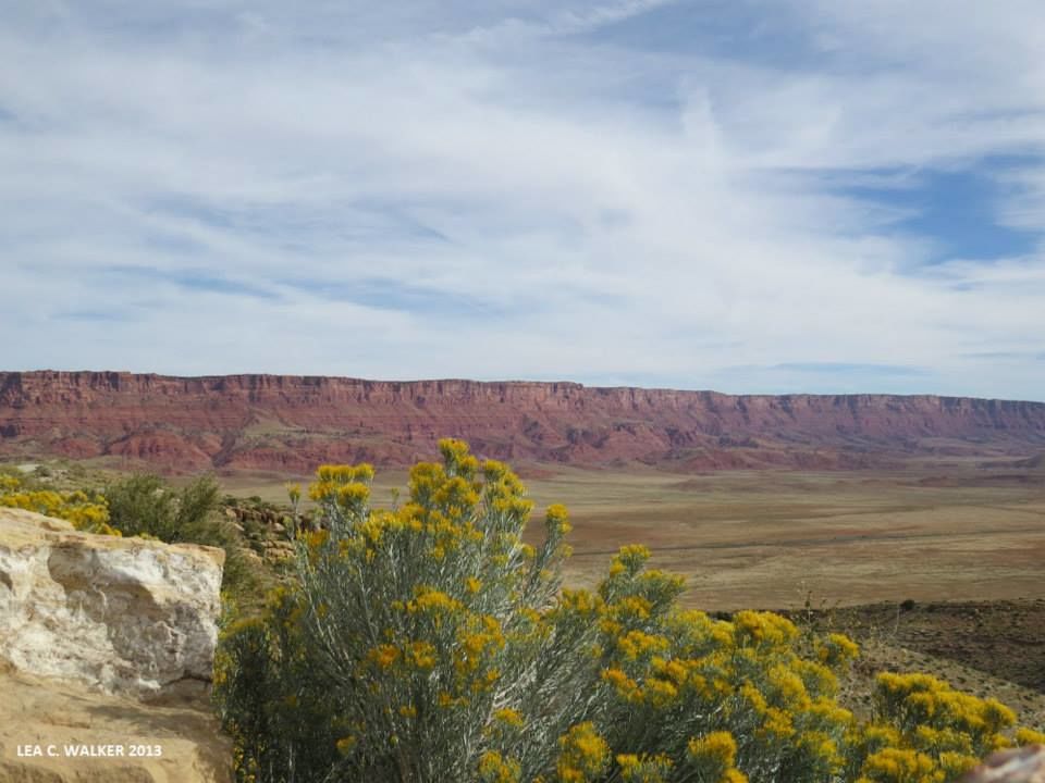 Photo of US Route 89 - The Ultimate Road Trip 18/21 by Lea Walker