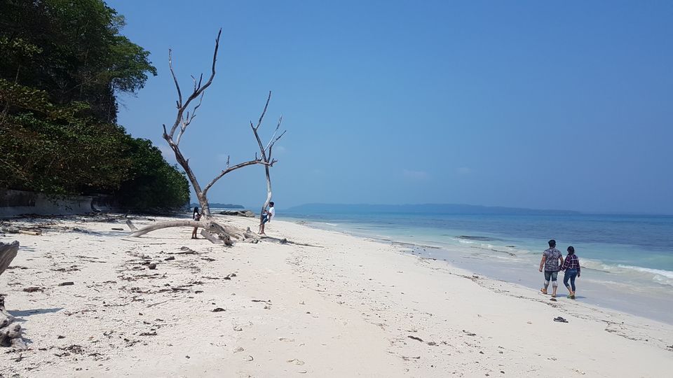 Photo of The Andaman 12/17 by siddhartha Thentu