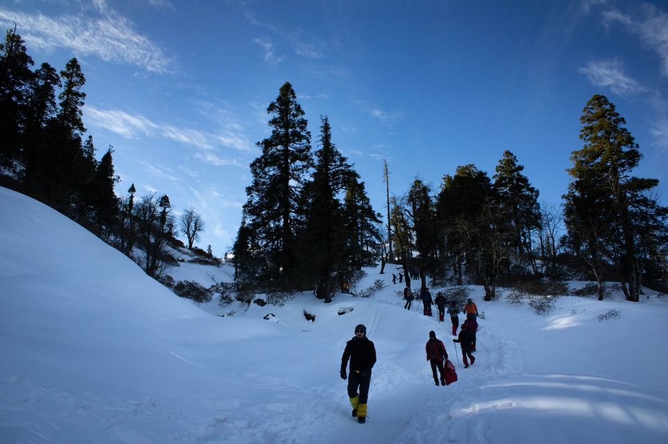 Photo of Kedarkantha Trek by Skyhike Adventure