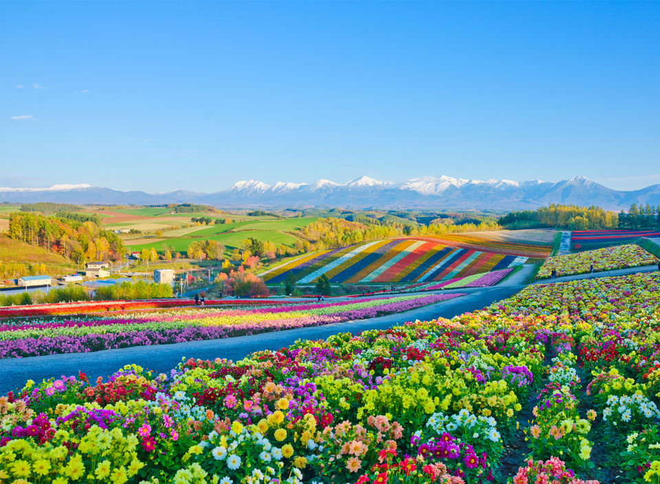 Photo of Japan’s best destinations 3/10 by Kaylen Oorloff