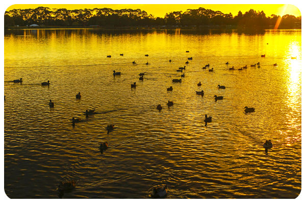 Photo of The Most Stunning Locations in Hamilton, New Zealand. 2/4 by Kaylen Oorloff