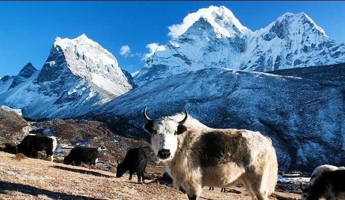 Photo of नेपाल दर्शनीय स्थल जो आपके सफर को आनंदविभोर किए बिना मानेंगे नहीं! by RAVI TRAVELS