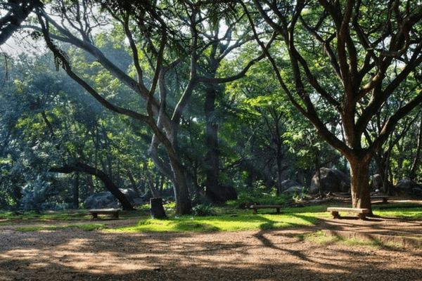 Photo of बैंगलोर में देखने के लिए सर्वश्रेष्ठ स्थान – भारत की सिलिकन वैली by RAVI TRAVELS