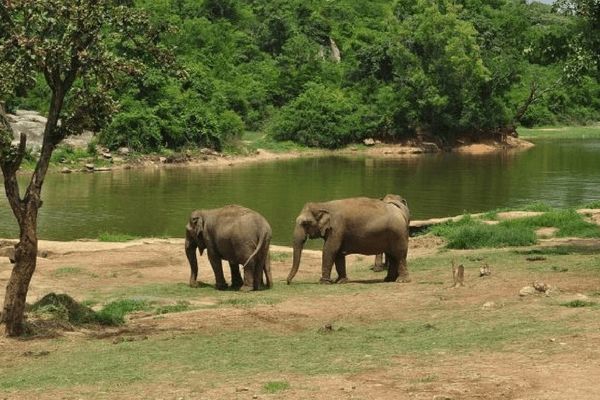 Photo of बैंगलोर में देखने के लिए सर्वश्रेष्ठ स्थान – भारत की सिलिकन वैली by RAVI TRAVELS