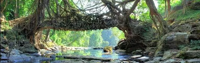 Photo of चेरापूंजी By aditya k