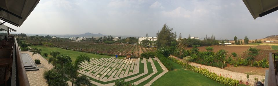 Photo of Nashik Vineyards - There is more than Sula! 1/6 by Green Windows