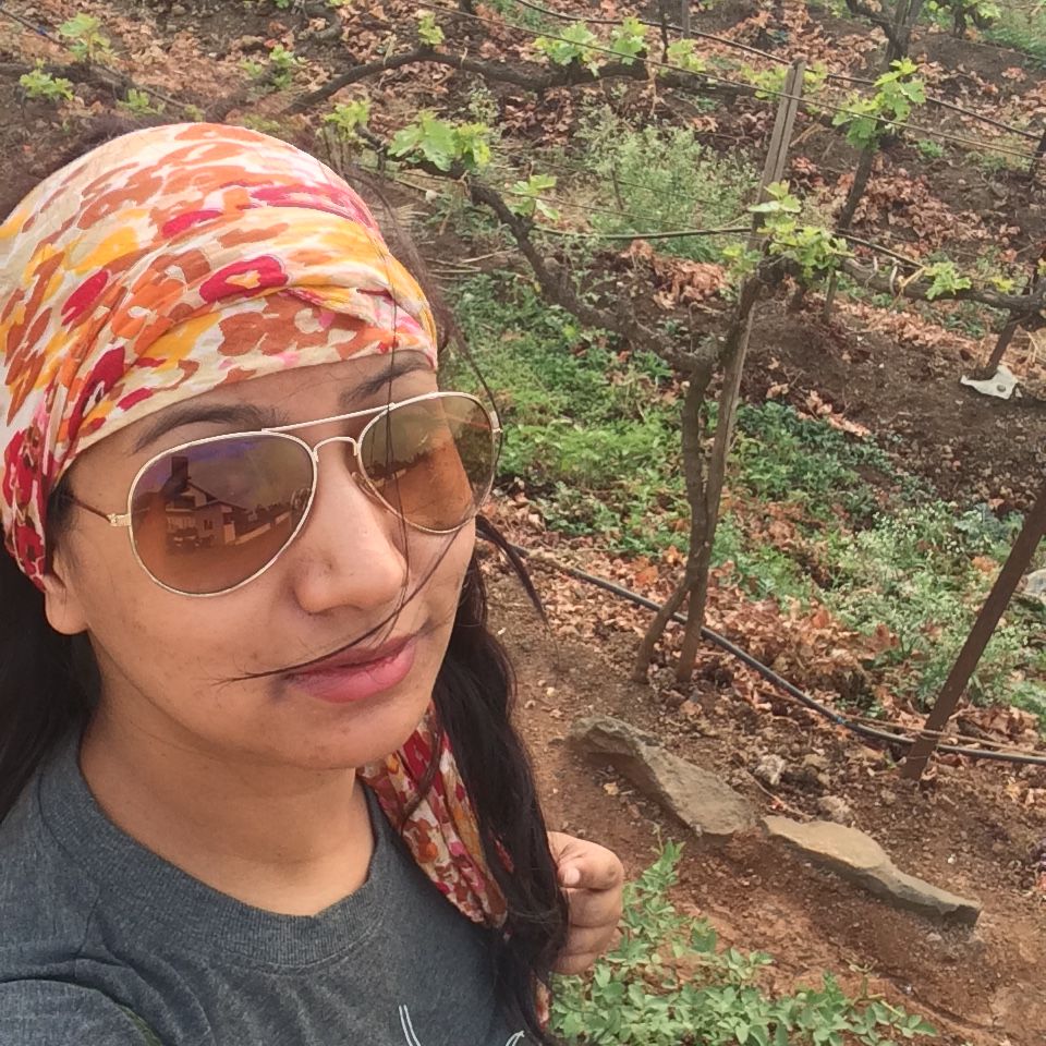 Photo of York Vineyard, Nashik by Green Windows