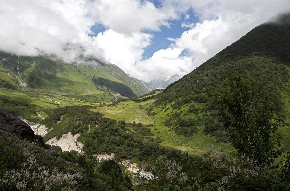 Photo of In Pictures: Valley of Flowers by Neeharika Satyavada