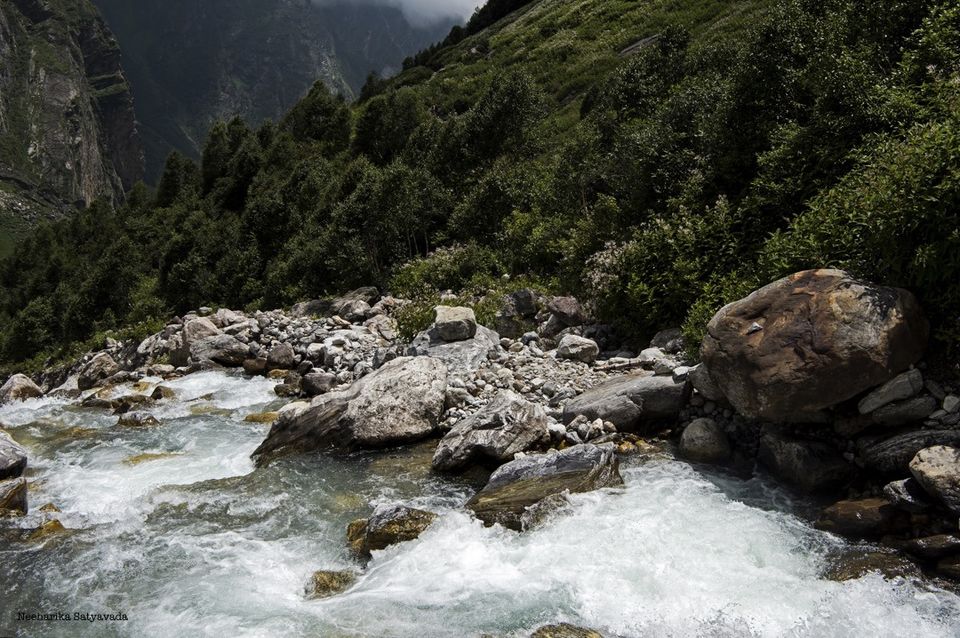 Photo of In Pictures: Valley of Flowers by Neeharika Satyavada