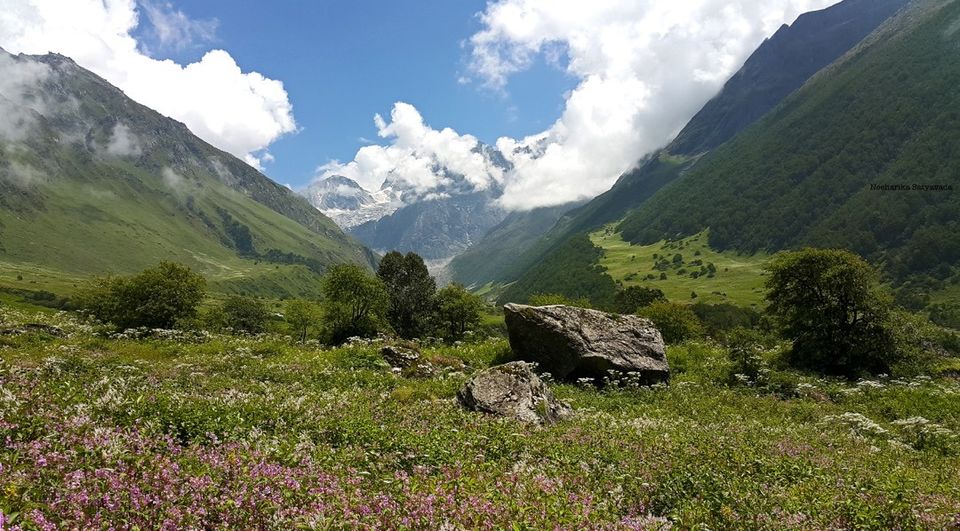 Photo of In Pictures: Valley of Flowers by Neeharika Satyavada