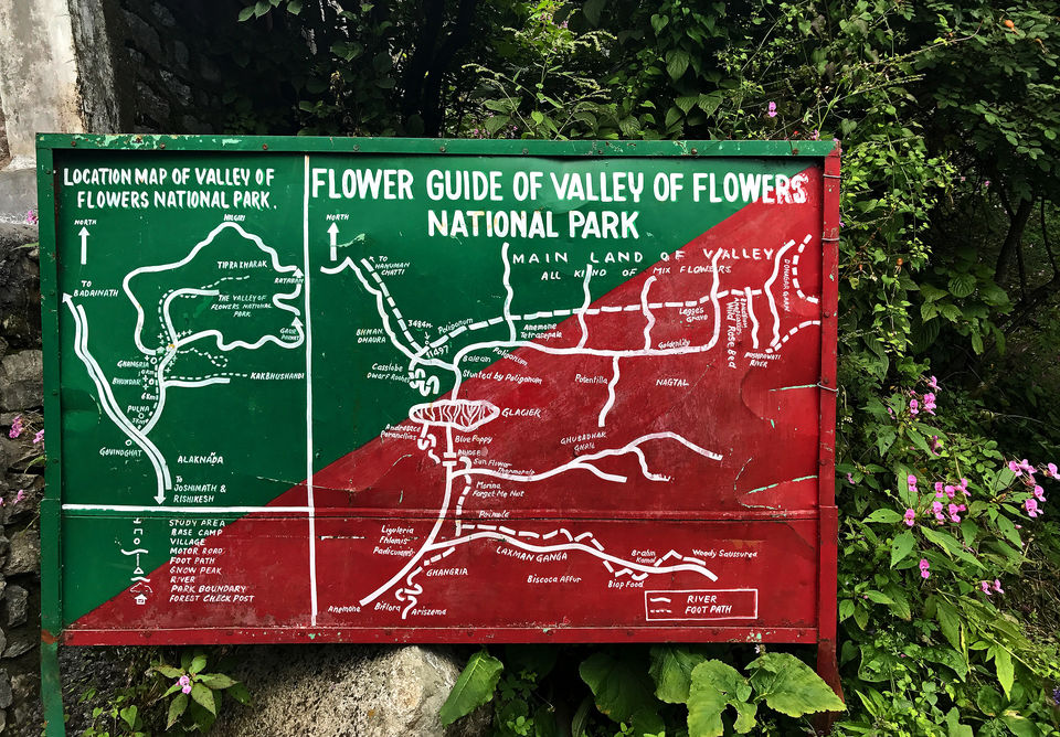Photo of Valley of Flowers National Park, Uttarakhand, India by Neeharika Satyavada
