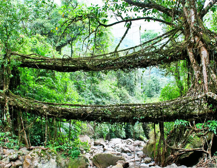 Photo of 10 Microadventures Across India For Busy People 5/10 by Aahna