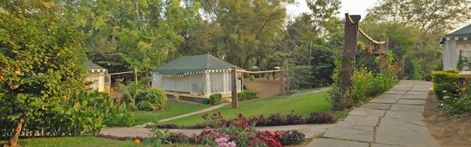 Photo of Spend 'Glamping' In The Royal Tents Of Ranthambore 4/5 by Aahna