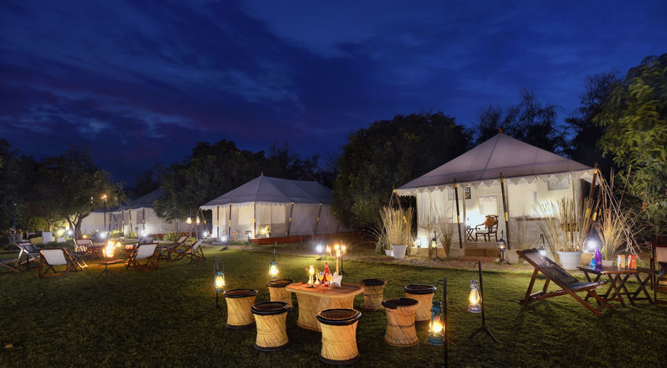 Photo of Spend 'Glamping' In The Royal Tents Of Ranthambore 5/5 by Aahna