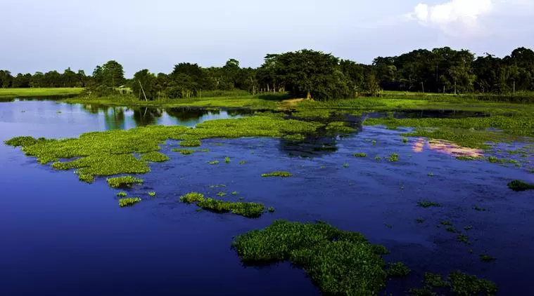 Photo of Majuli, Assam by Aahna
