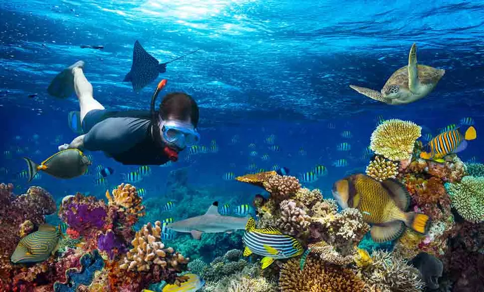 Photo of Lakshadweep, India by Aahna