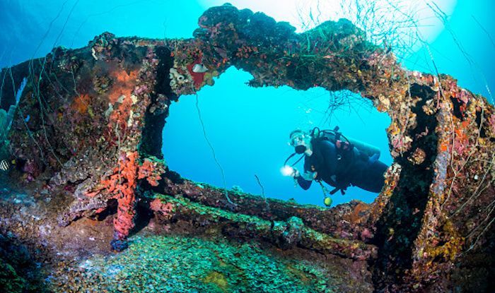 Photo of Dive Deep into India’s first Underwater Museum in Pondicherry 1/6 by Aahna