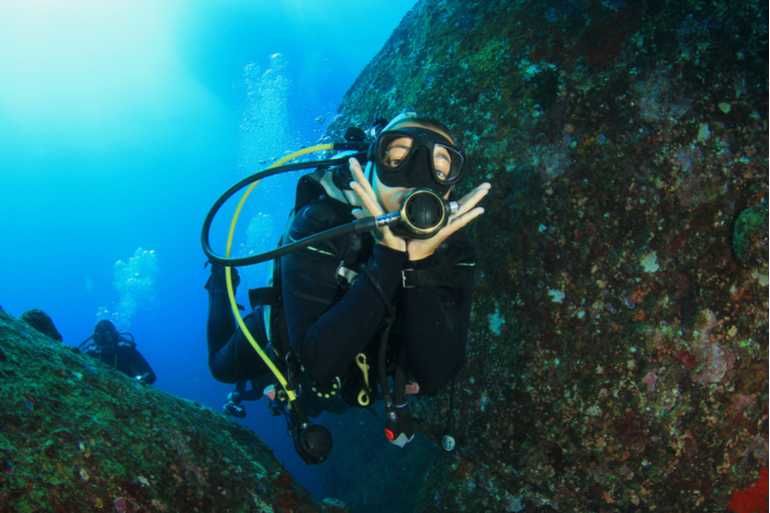 Photo of Dive Deep into India’s first Underwater Museum in Pondicherry 3/6 by Aahna