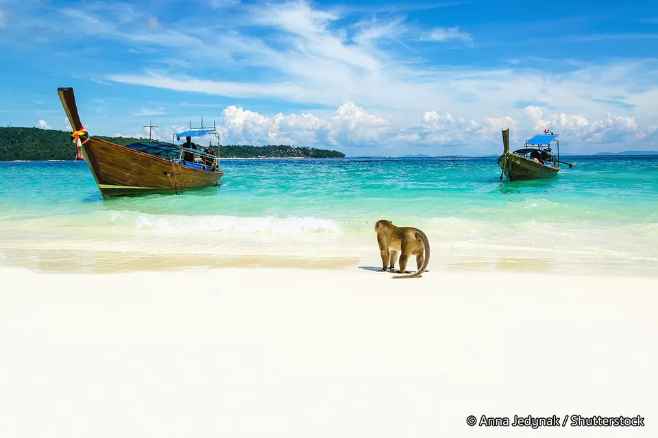 Photo of Discover Hidden Beaches in Thailand with Picturesque Landscapes and Unspoiled White Sands! by Aahna