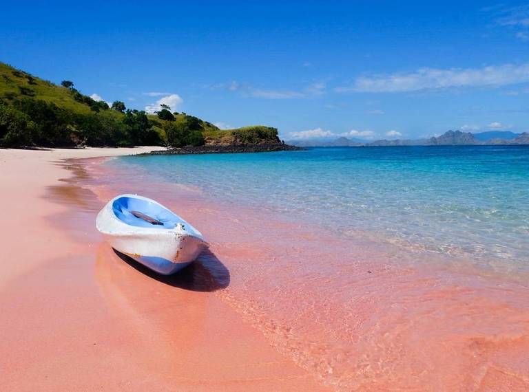 Photo of Did you know about Indonesia's extremely rare pink beach by Aahna