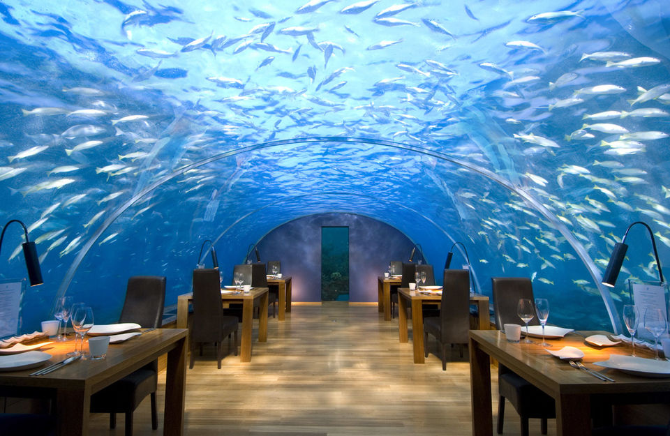 Photo of This is what it's like to dine underwater in the Maldives by Aahna