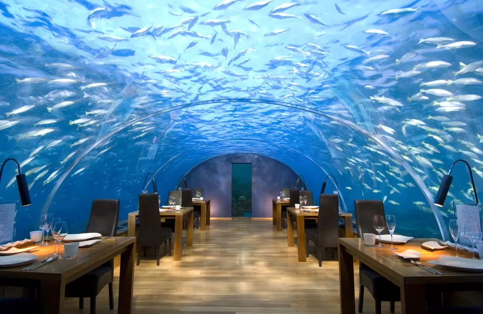 Photo of This is what it's like to dine underwater in the Maldives by Aahna