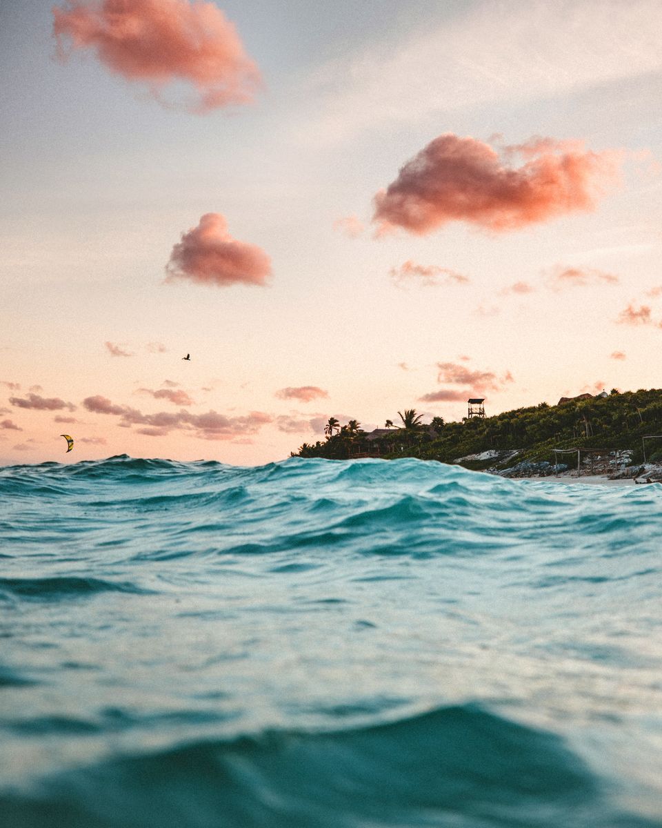 Photo of Go Beyond Goa and Greece – This Less-Heard Destination in Mexico Can Be Your Honeymoon Spot! by Aahna