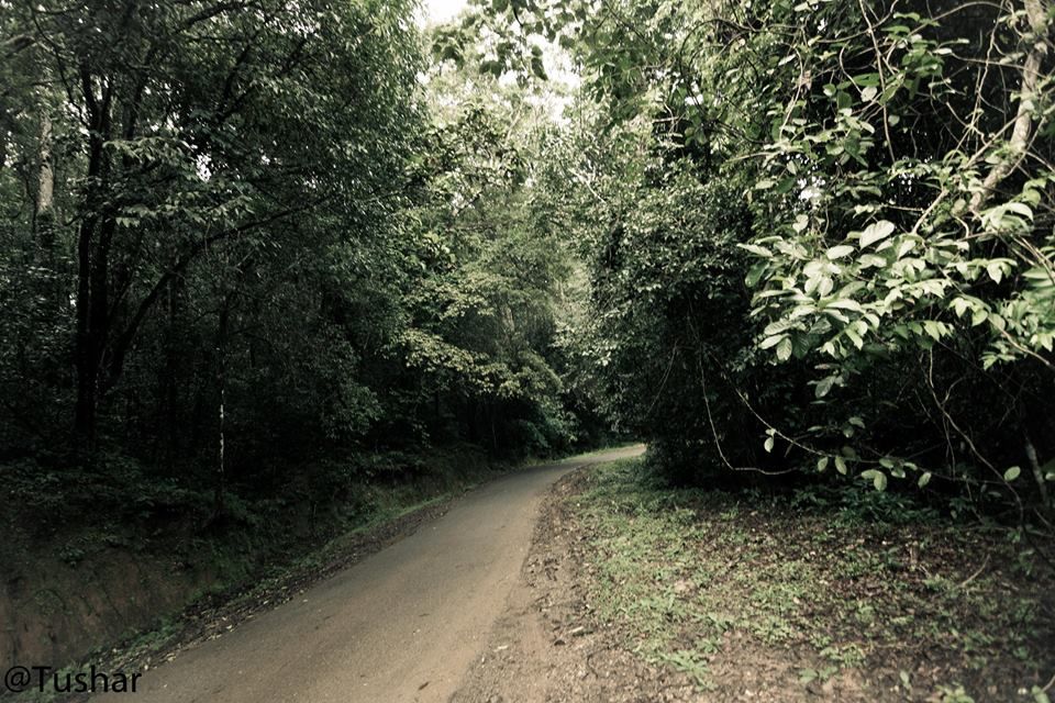 Photo of Bangalore to Goa Road Trip & Places of Interest by Jacinth Paul