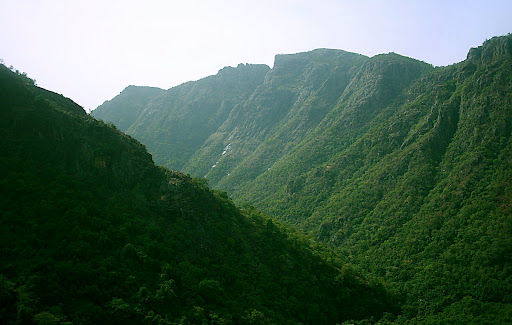 Photo of 10 Best Overnight Road Trips from Bangalore 6/11 by Jacinth Paul