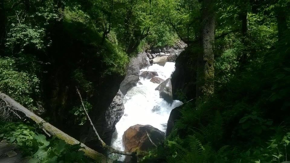 Photo of The Other Side of ‘Parvati Valley’: Rainbow Gathering in India, Kheerganga 3/7 by Jacinth Paul