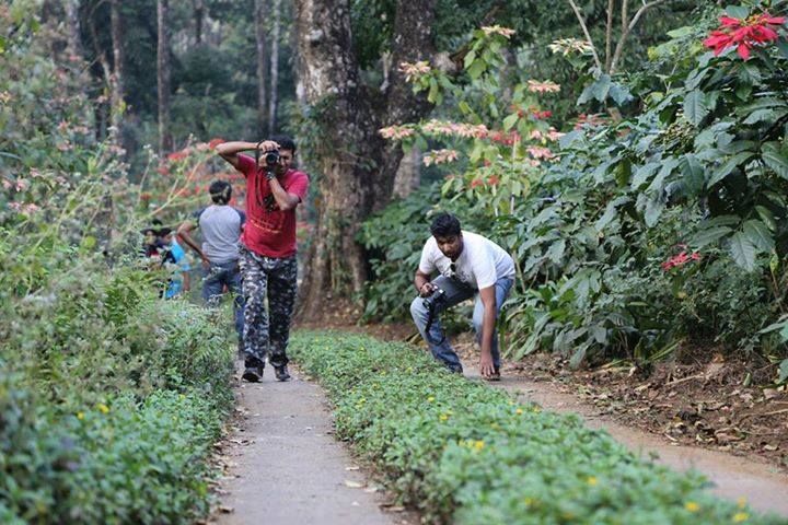 Photo of Honey Valley, Yevakapadi, Coorg, Karnataka, India by Jacinth Paul