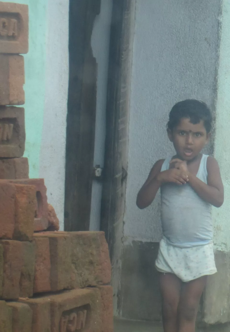 Photo of Garh Panchkot by Pallabi Saha