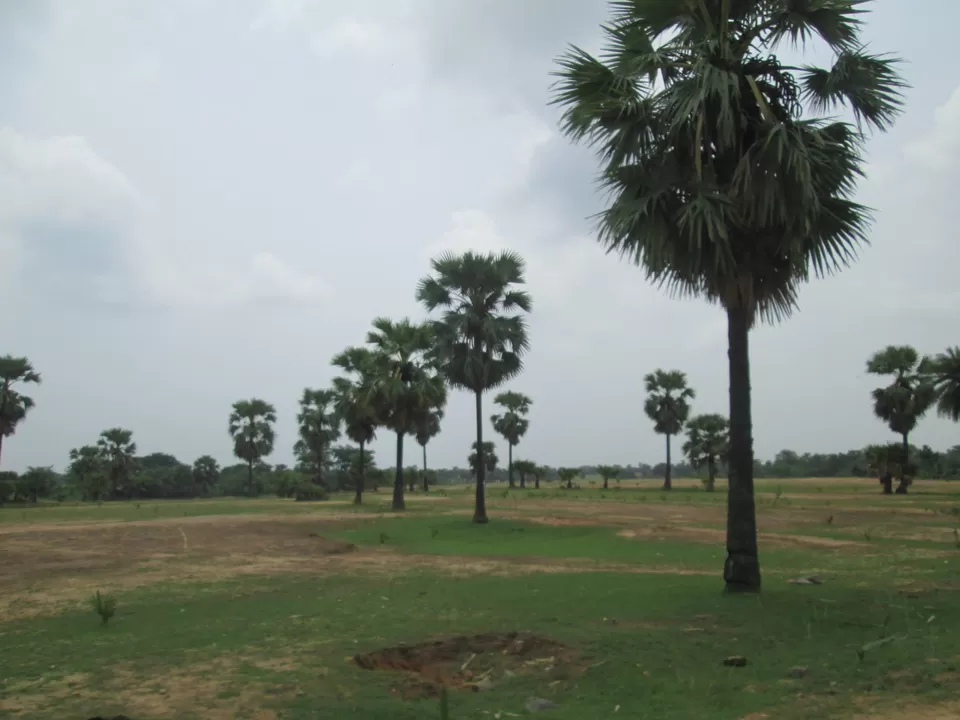 Photo of Garh Panchkot by Pallabi Saha