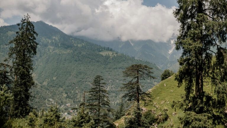 Photo of MANALI : The City in the Mountains by BUSINESS BITES