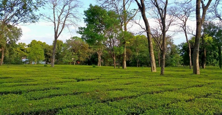Photo of DHARMSHALA TOURIST PLACES by BUSINESS BITES