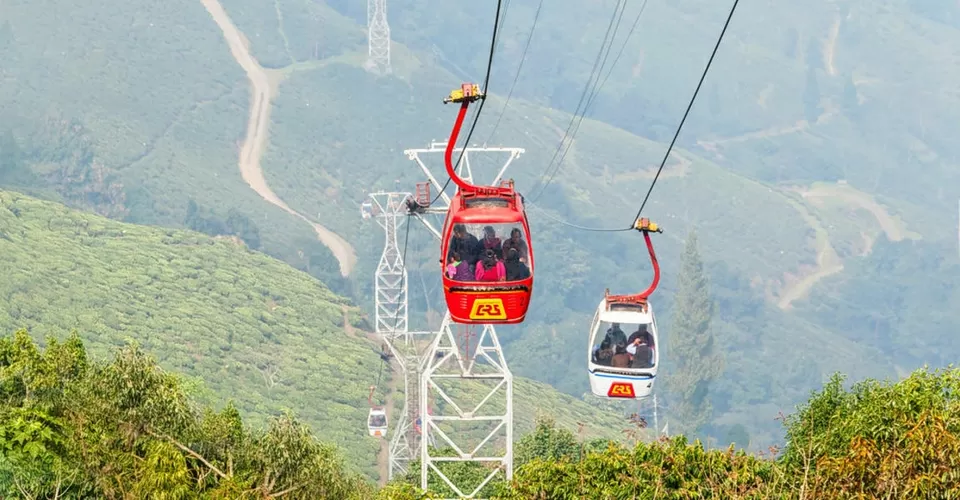 Photo of Darjeeling by BUSINESS BITES