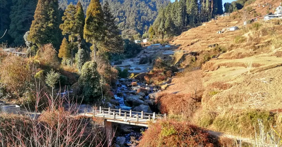 Photo of Darjeeling by BUSINESS BITES