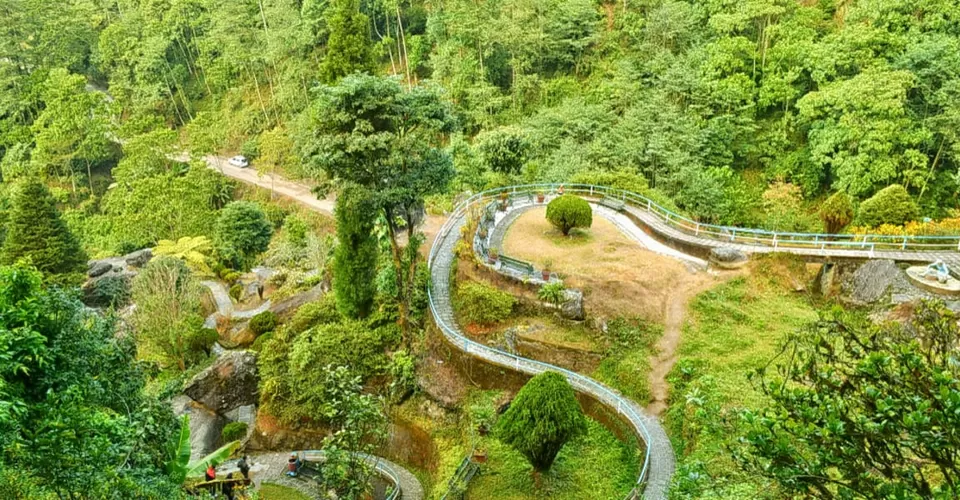 Photo of Darjeeling by BUSINESS BITES