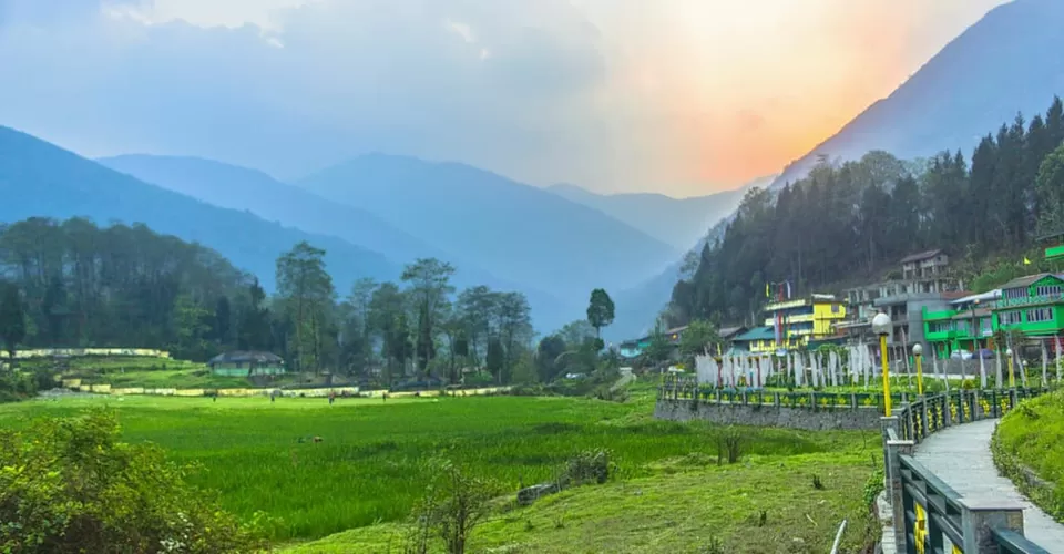 Photo of Darjeeling by BUSINESS BITES