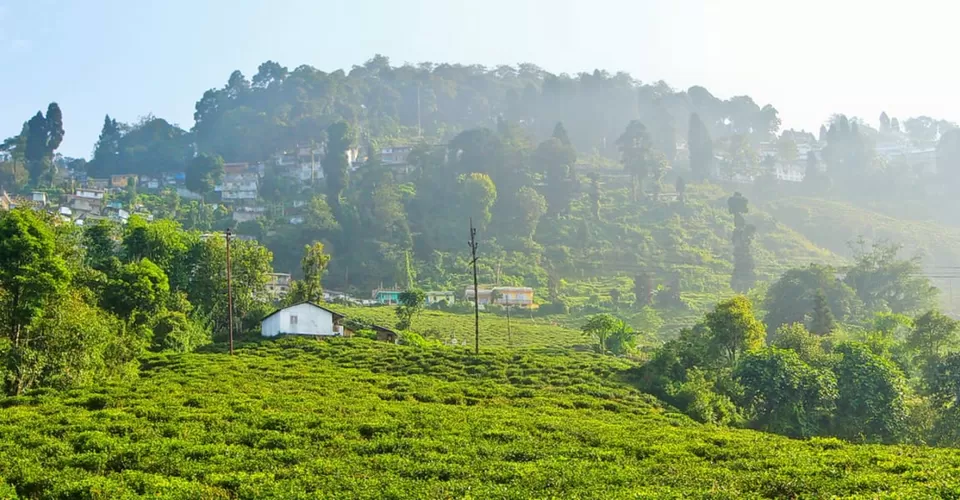 Photo of Darjeeling by BUSINESS BITES