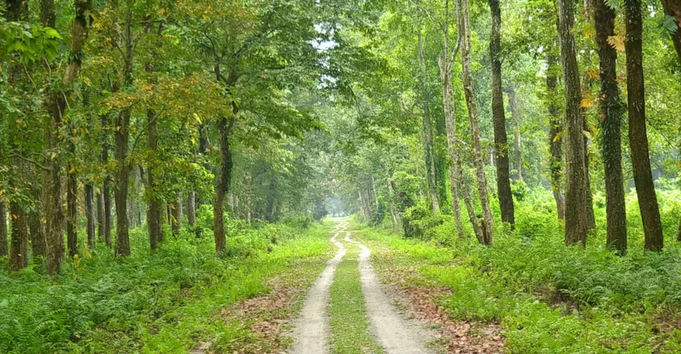 Photo of Darjeeling by BUSINESS BITES
