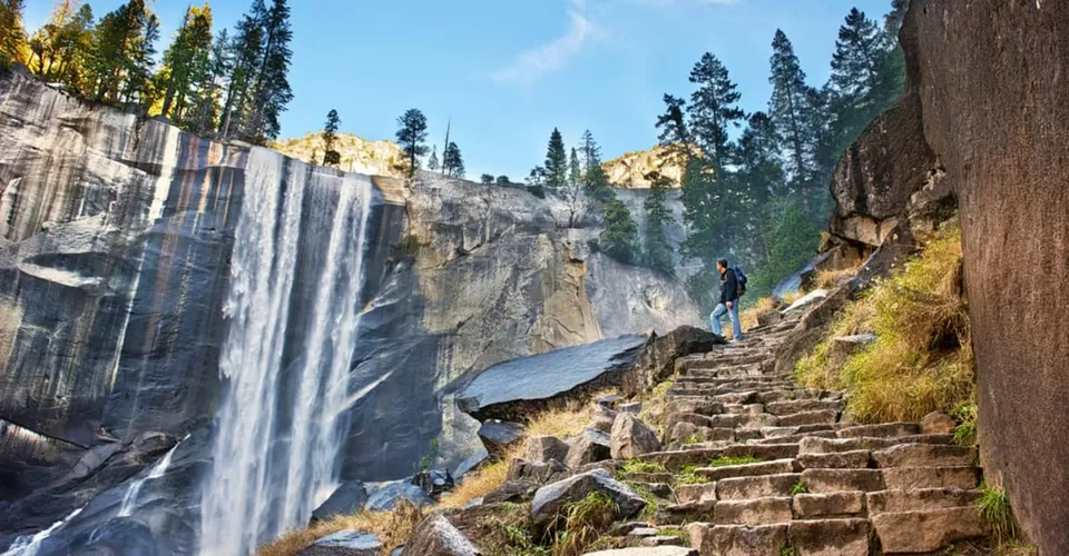 Photo of Darjeeling by BUSINESS BITES