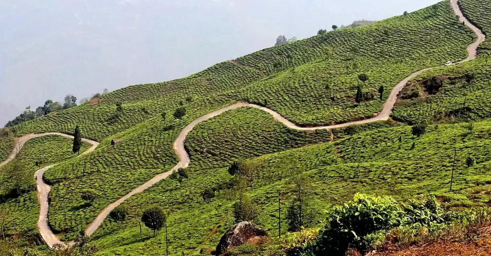 Photo of Darjeeling by BUSINESS BITES