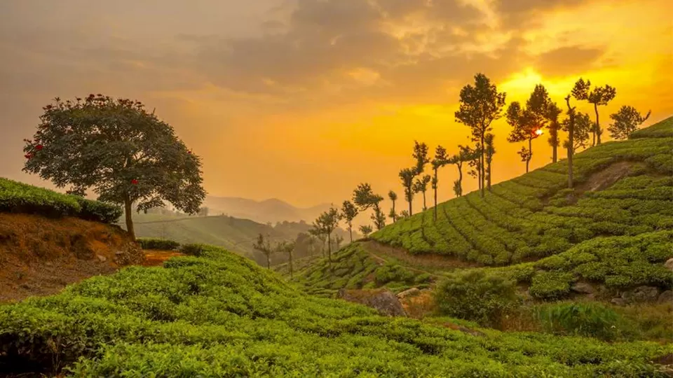 Photo of Kerala by BUSINESS BITES