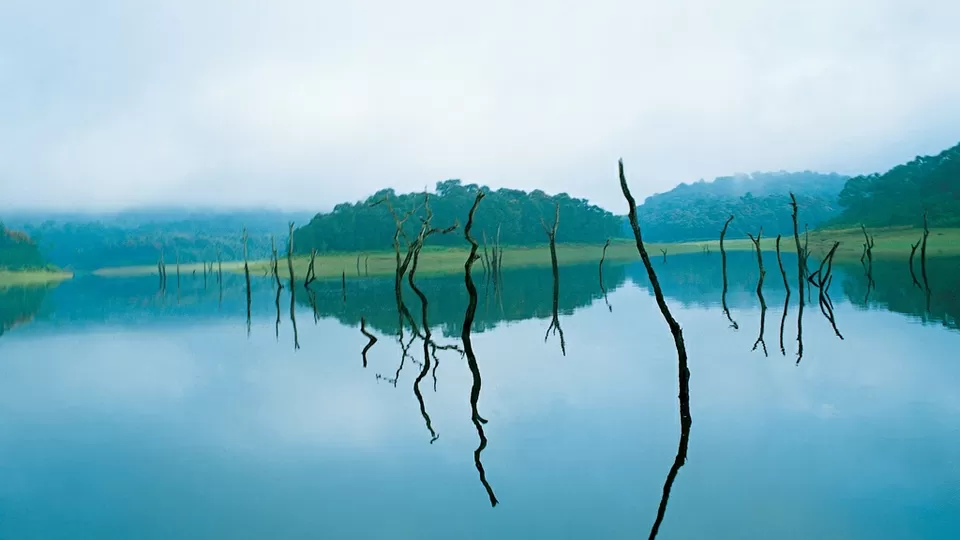 Photo of Kerala by BUSINESS BITES
