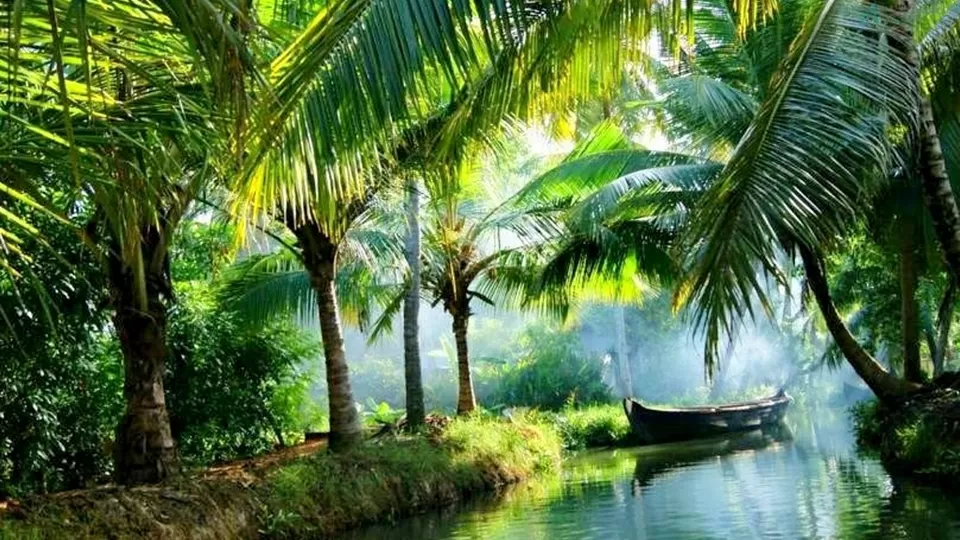 Photo of Kerala by BUSINESS BITES