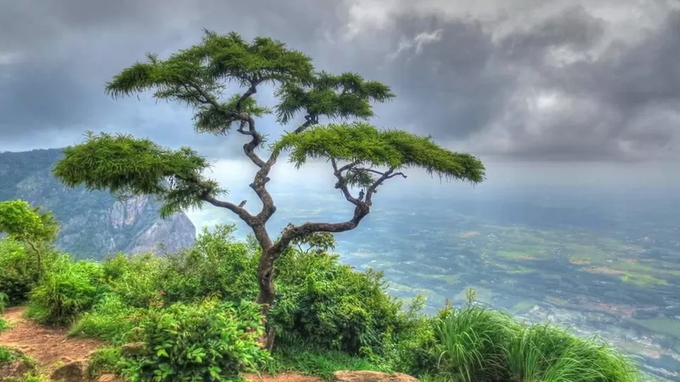 Photo of Kerala by BUSINESS BITES